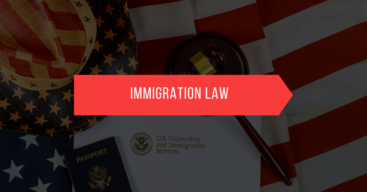 Immigration Lawyers In Gurgaon - The Law Codes